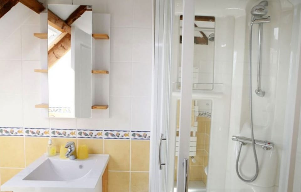 Double or Twin Room (Yellow Room) | Bathroom | Shower, hair dryer, towels