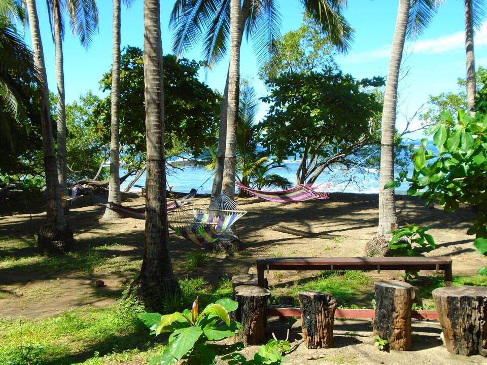 Right outside your cabina, your 1 of many hammocks and beach