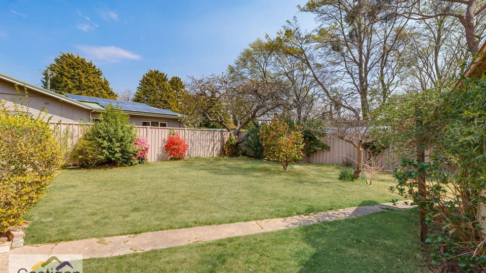 level backyard with mature trees