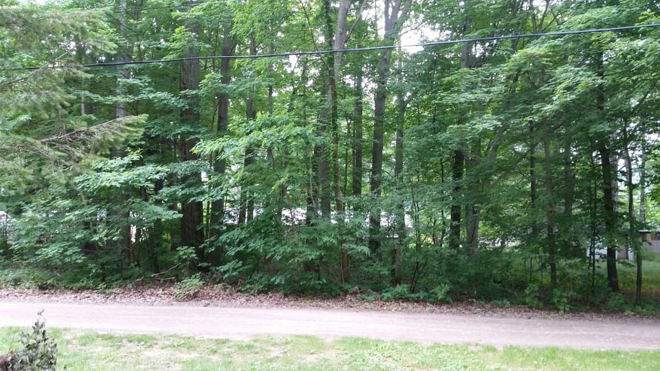 Woods across the street in front
