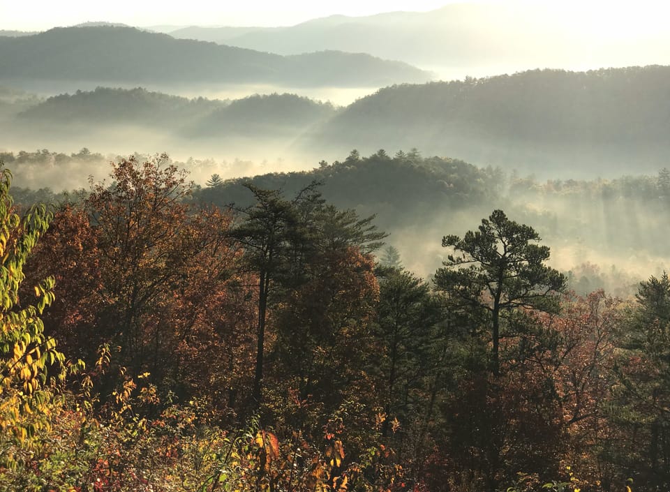 Foggy morning in the mountains, easily accessible by car from the condo. 