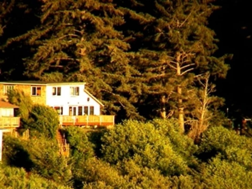 Edens Garden In the Trees