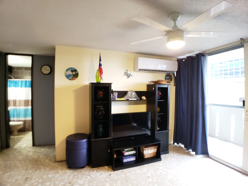 LIVING ROOM- CURTAINS OPEN TO BALCONY