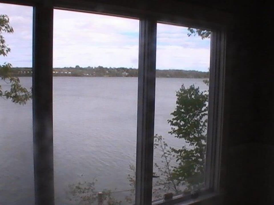 View from living room 