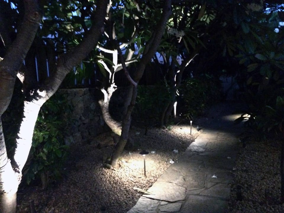 Front walk with fragrant-flowered plumeria trees at night.
