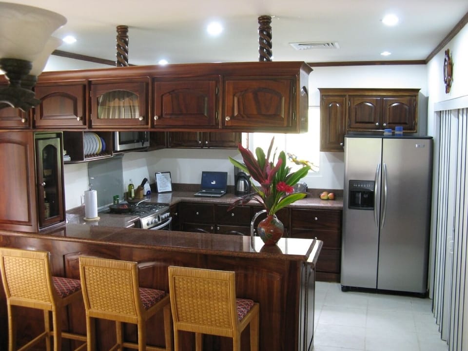 Newly remodeled kitchen November 2008