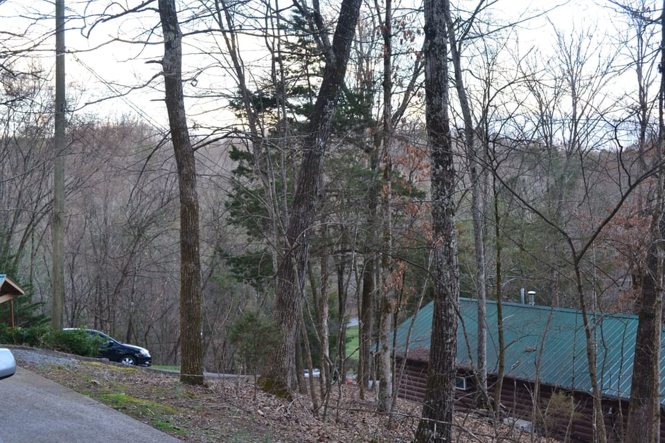 Front driveway looking down hill