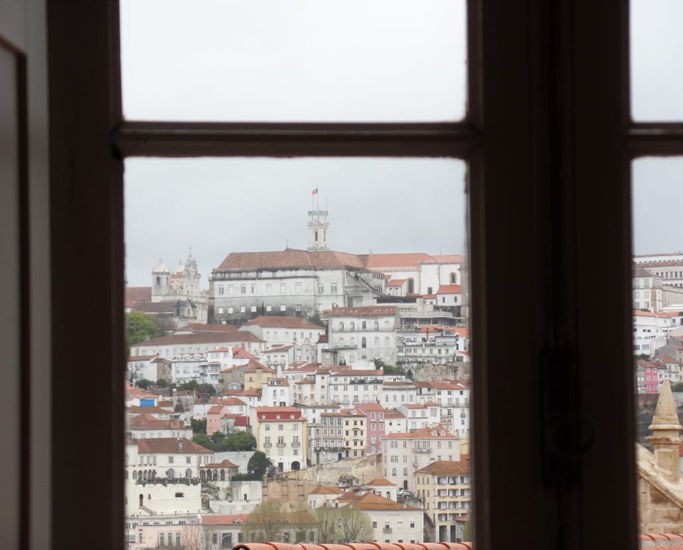 view from red room 