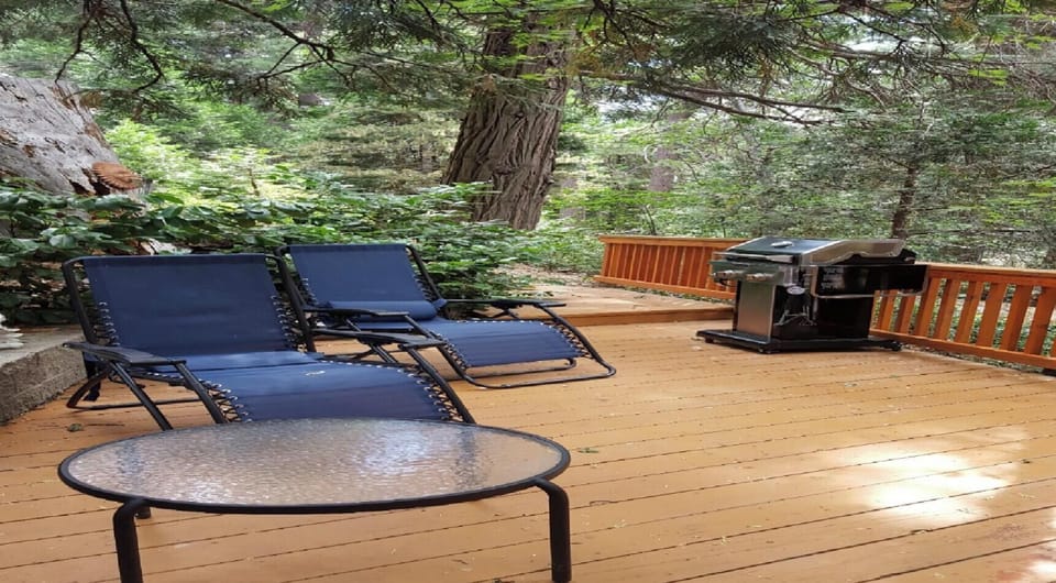 deck & propane bar-b-q
