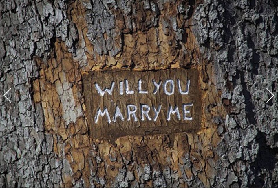 We can help you romantically elope, renew your vows, get engaged or married here