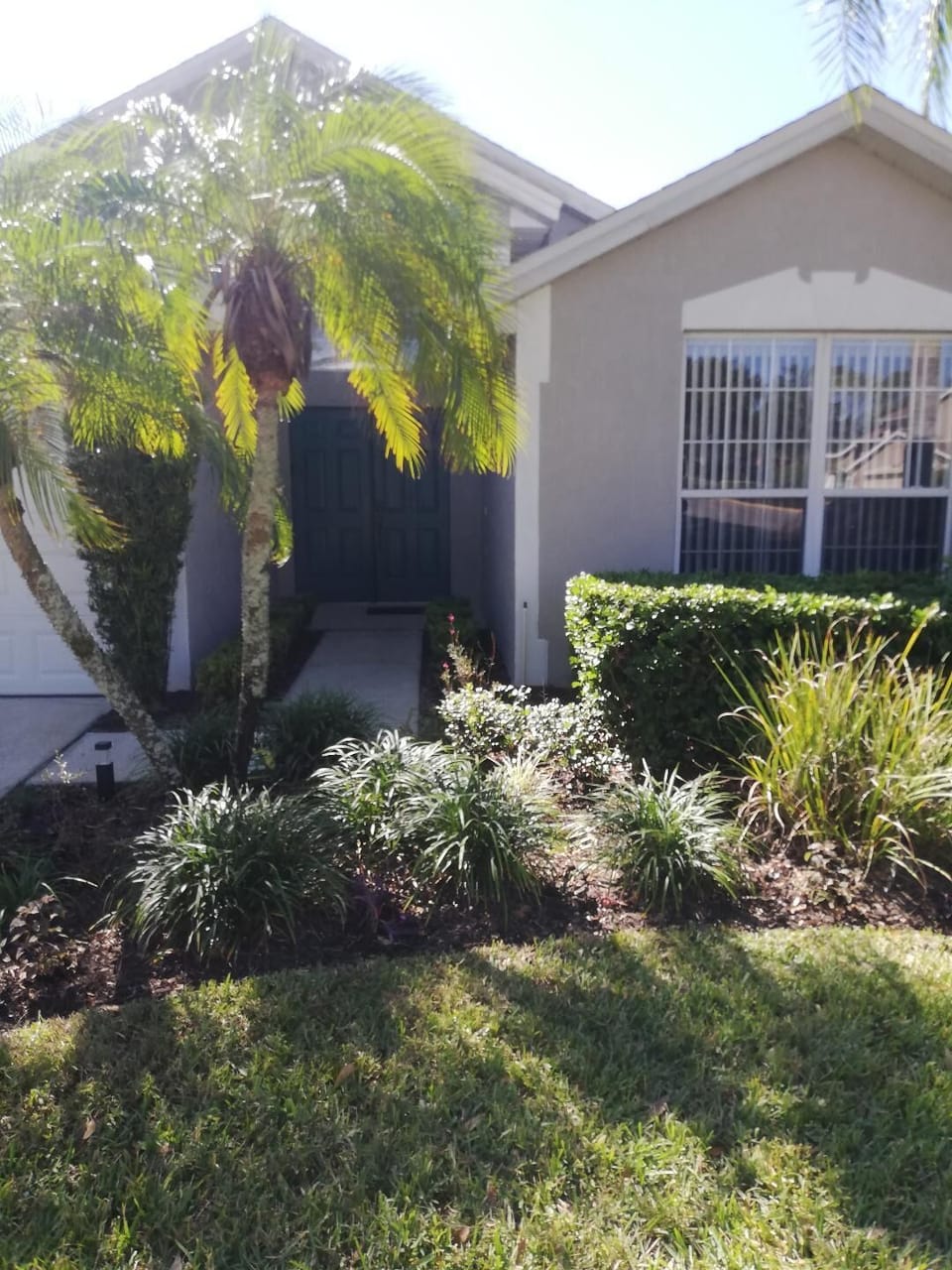 The entrance with the palm in the garden