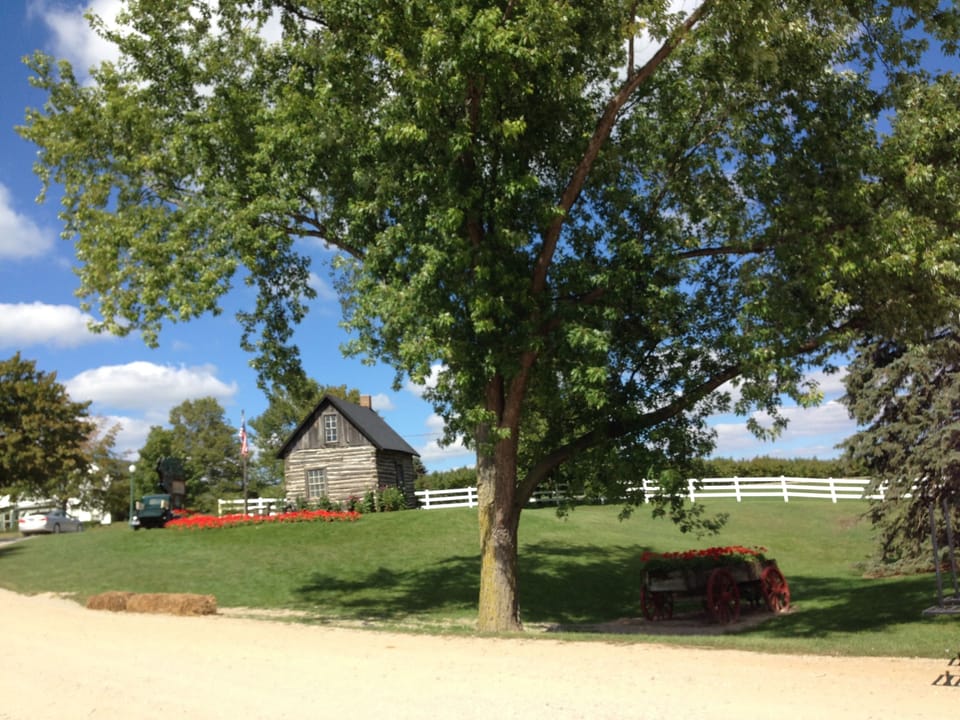 Crane Orchards