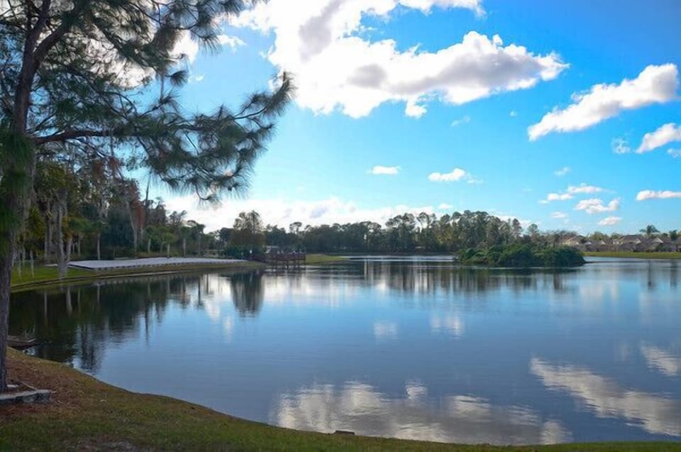 Lake with beach. Fising Dock, Walking Trail & Bird Island