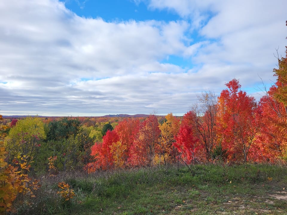 fall colors on the property