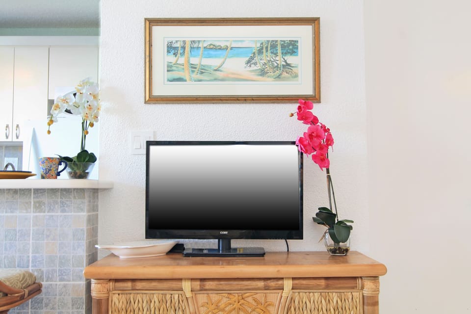 Flat screen TV, DVD, HDMI, Wi-Fi for connecting your preloaded devices/subscrips