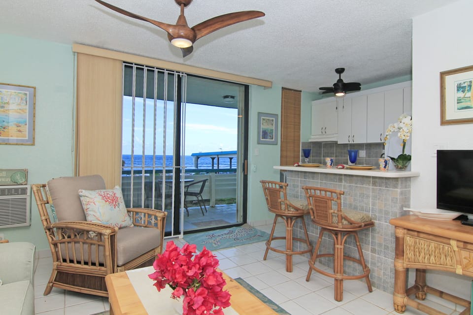 Spacious fully furnished Studio with king bed, sofa pullout, kitchen, bath, AC