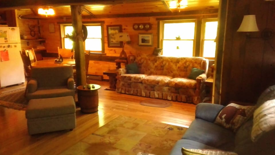Living room area