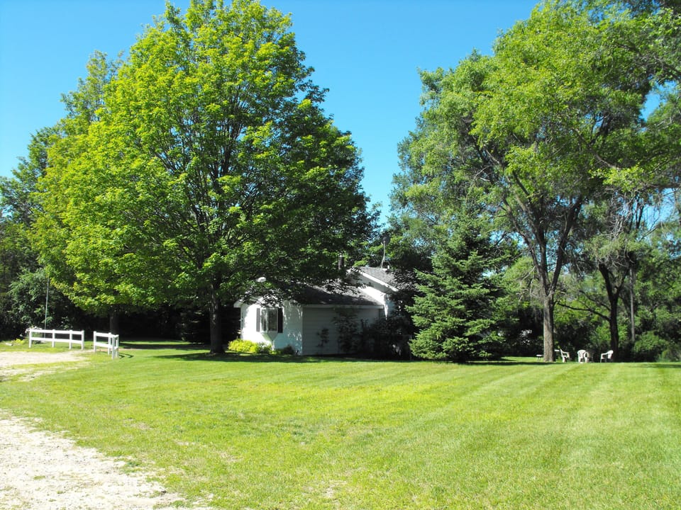 Front Lawn