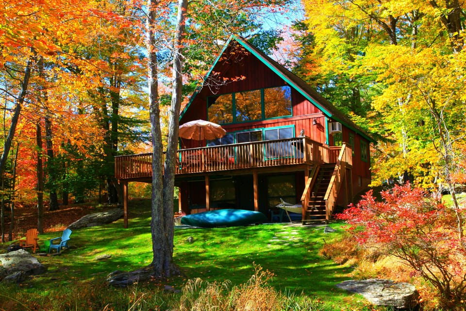 The House
