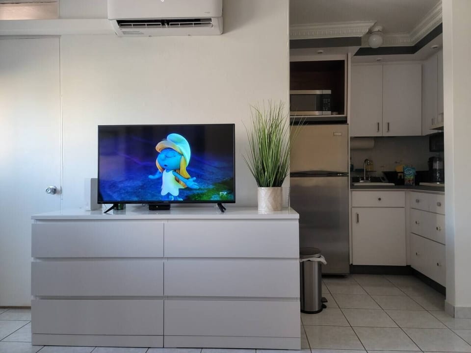 AC Unit / Living room / Flat Screen /  Kitchen area