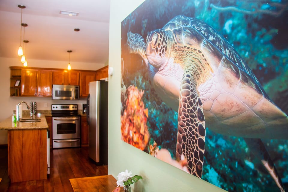 Our beloved (massive) turtle with view to kitchen.