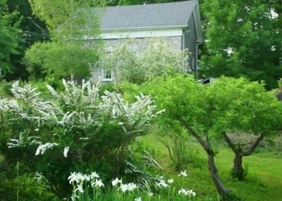 Spring