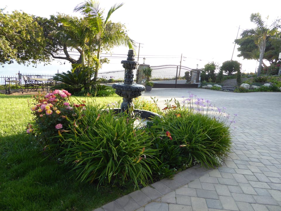 fountain 

