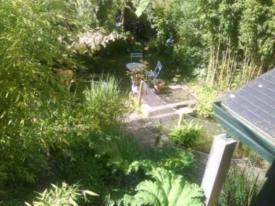 Garden, Park
