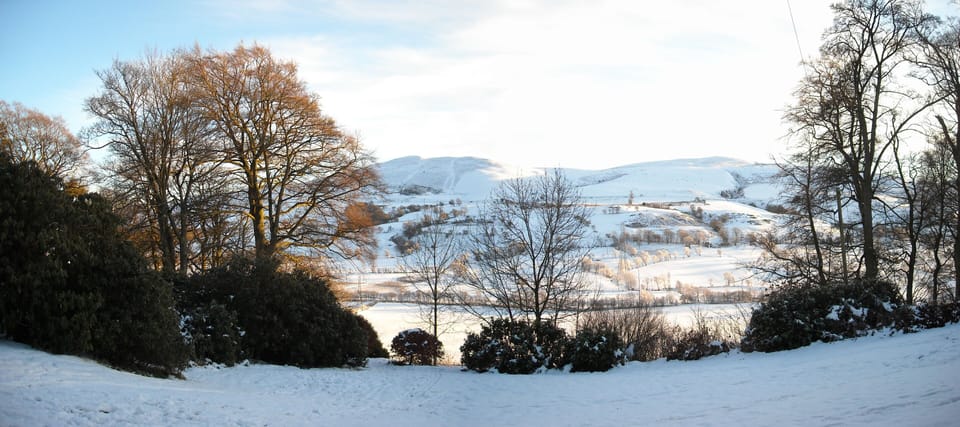View from front door