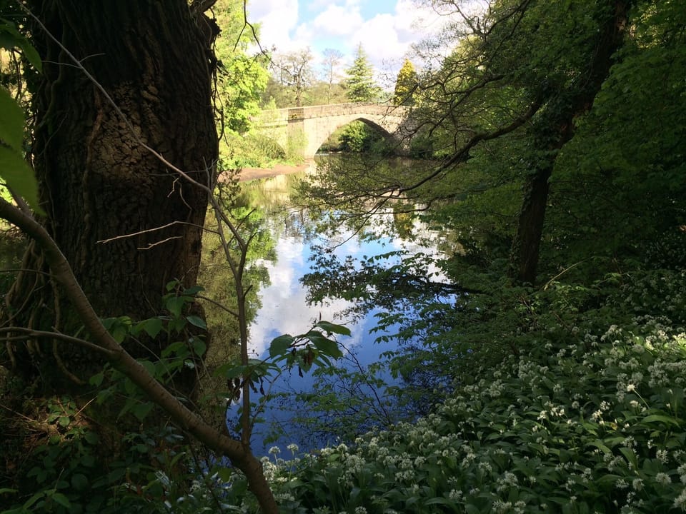 River Derwent walks