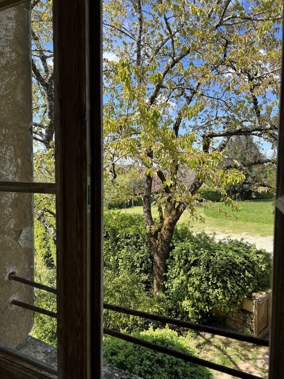 Vue de la suite Céladon