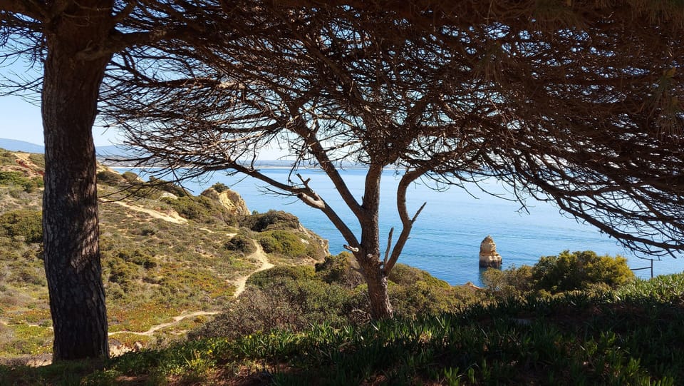 Cliff top views just a few minutes walk from the apartment 