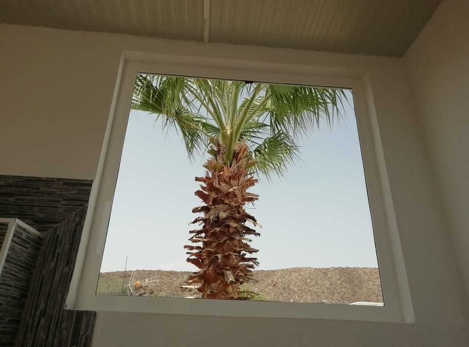 Window in toilet up floor, view for garden 