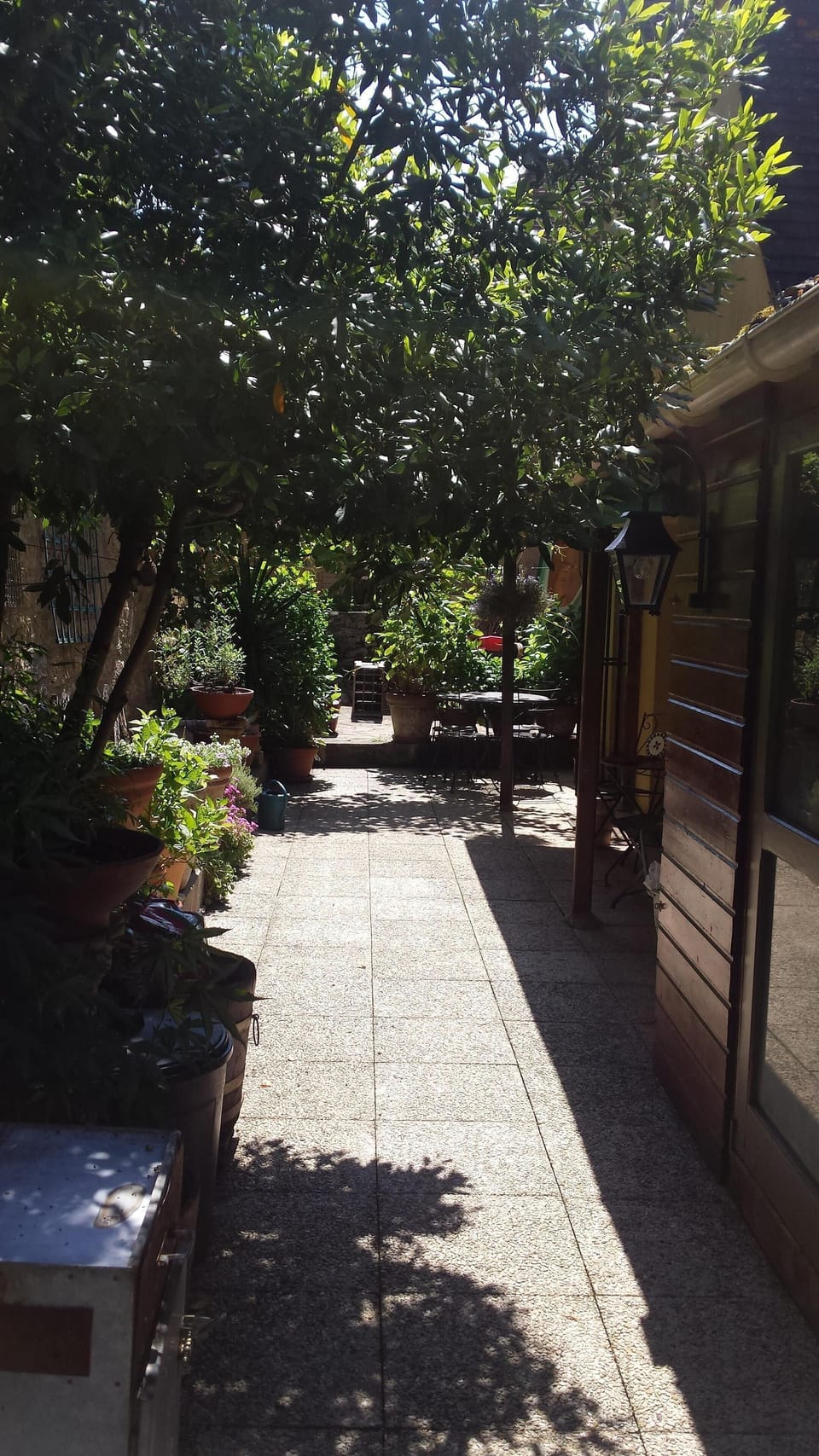 Sunny back garden