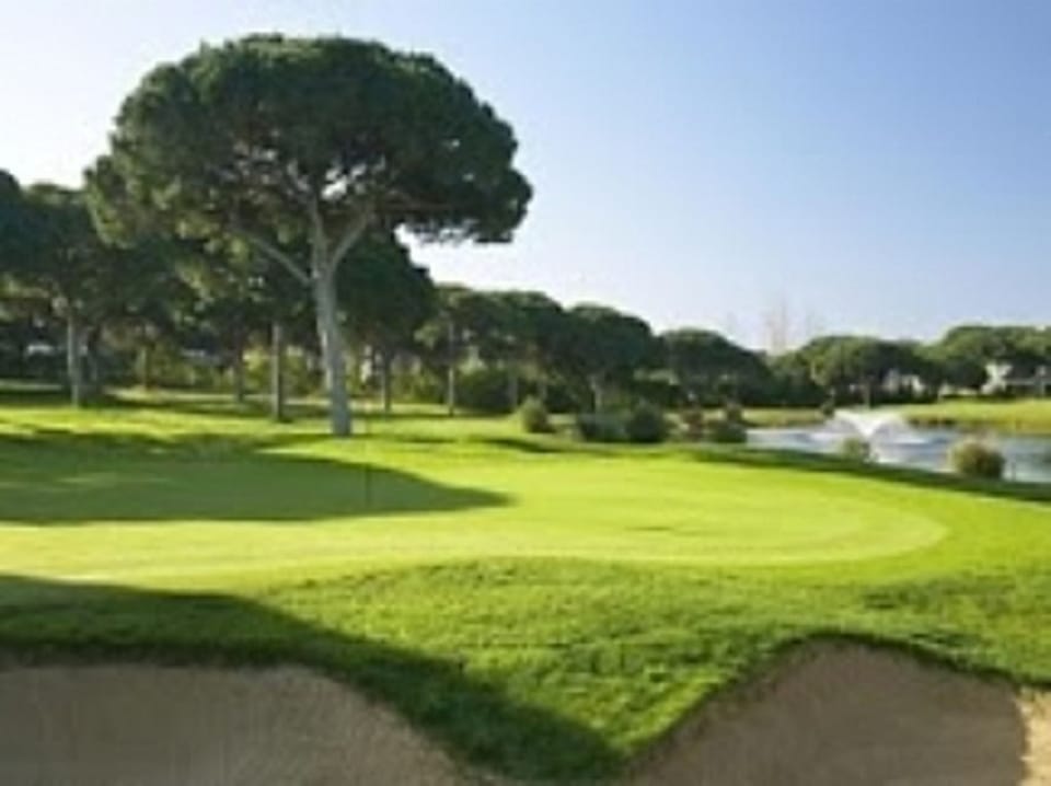 Golfcourse