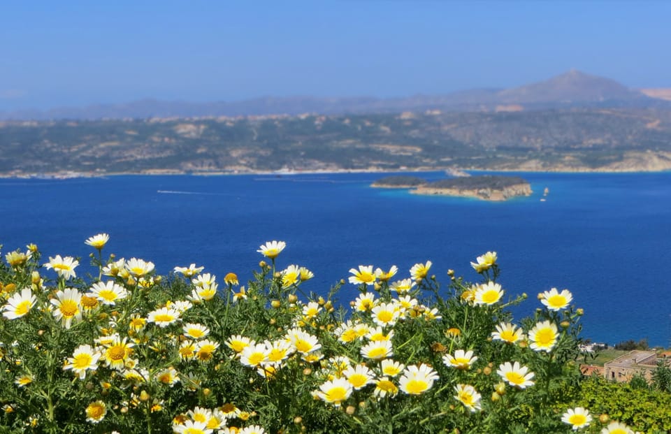 Spring Flowers on Crete