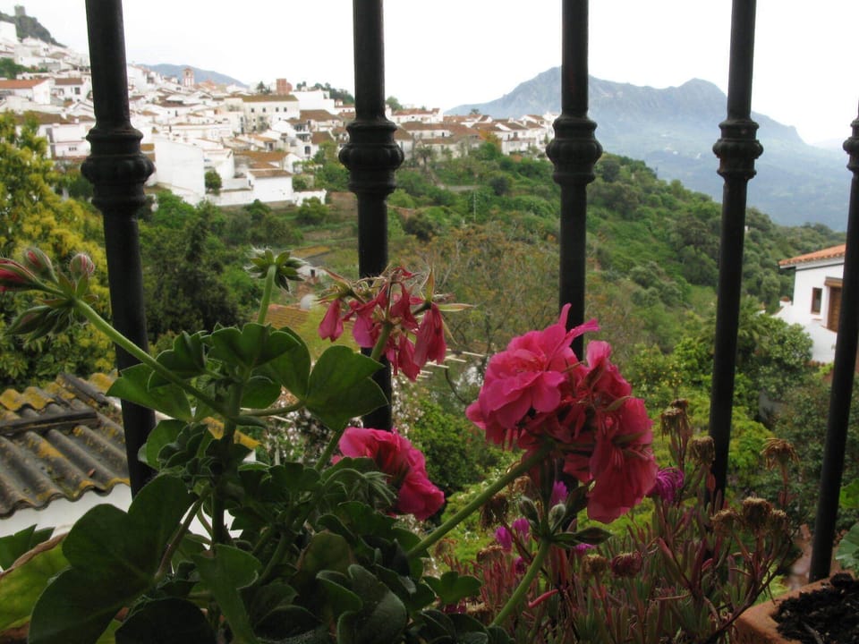 Breakfast terrace View