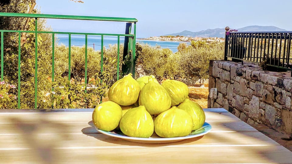 Sample fresh fruit from our organic gardens on the Villa Pefnos veranda.