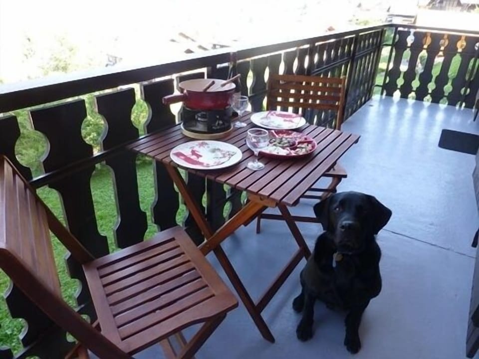 Cheese Fondue on the long balcony guarded by  Rhum ,one of my labradors !!!