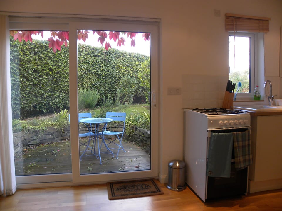 View out to patio garden