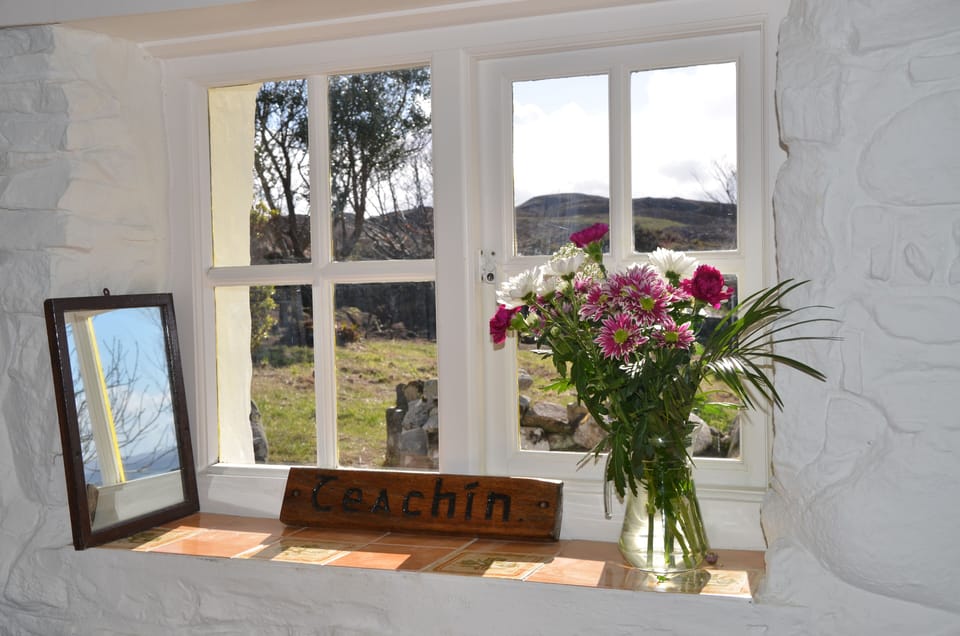 Living room window