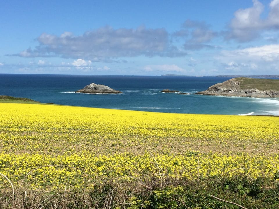 Beautiful Crantock