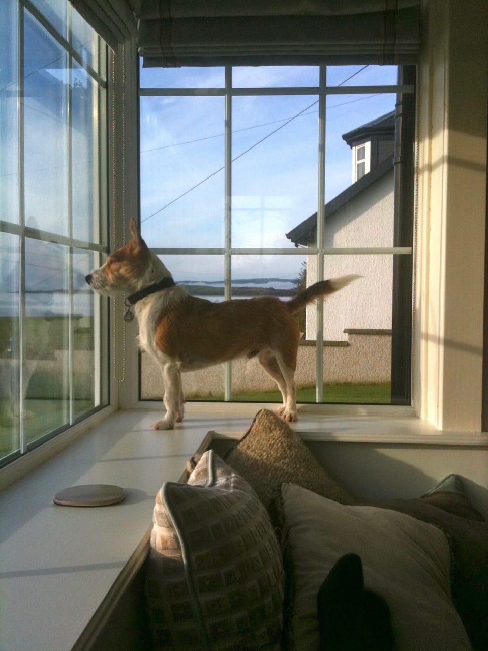 The window seat