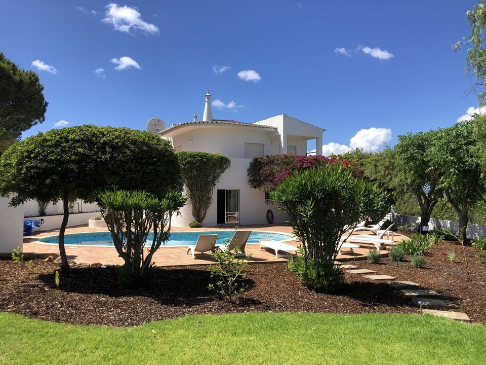 New garden renovation 