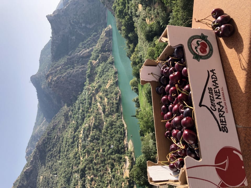 Local produce to enjoy on the balcony