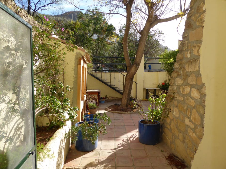Courtyard from living room.