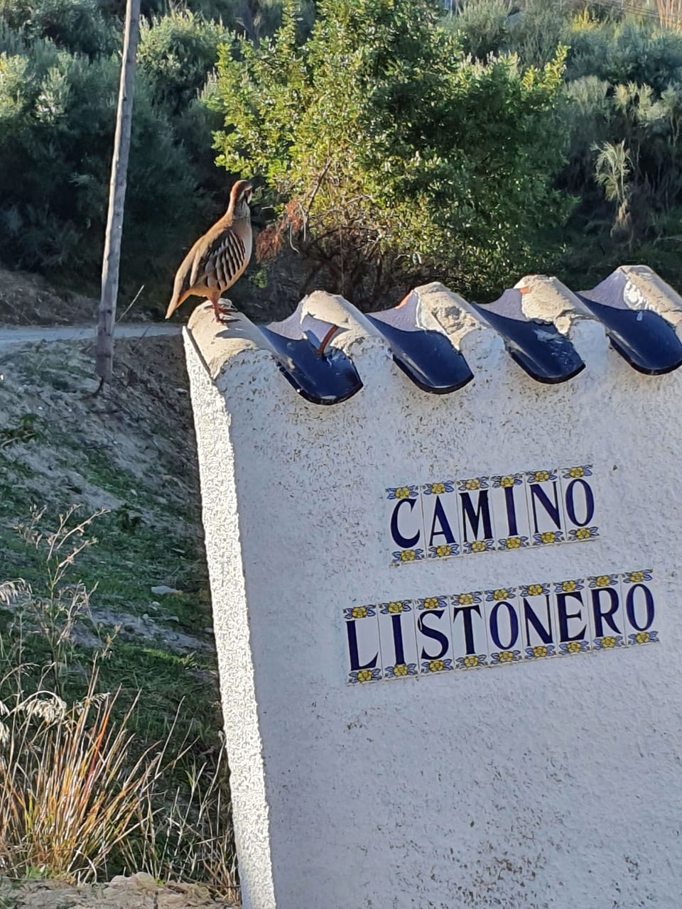 Sign tells you that you have arrived at El Molino! The partridge will have flown
