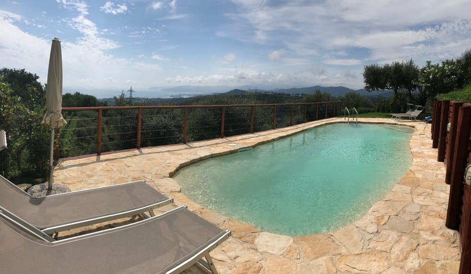 The outdoor swimming pool is shared with one other house