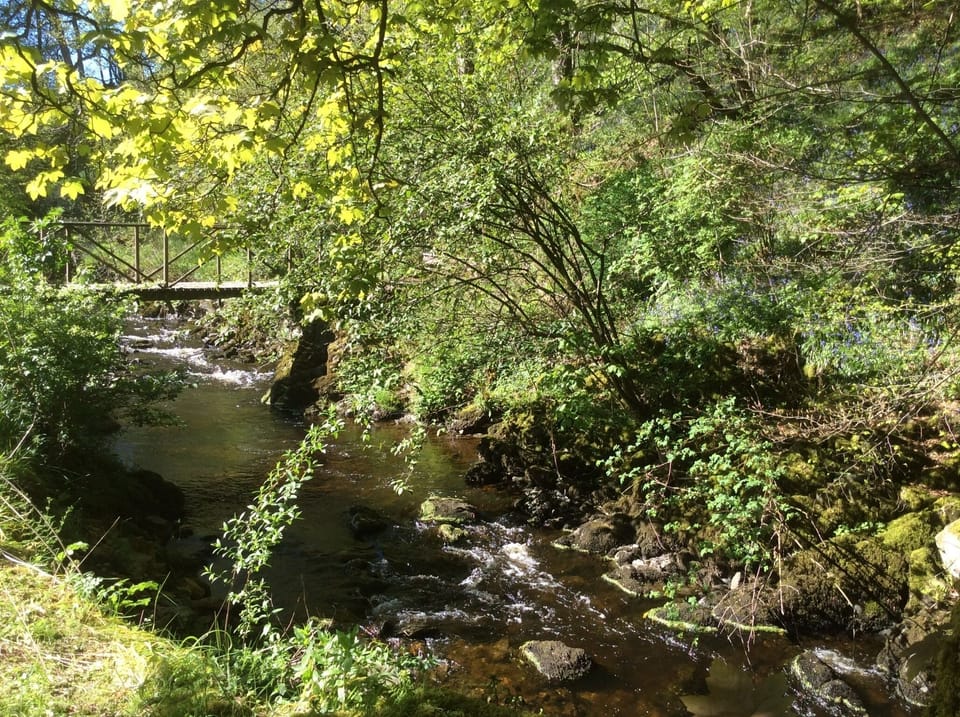 Bridge over the river at Riverside Cottage 