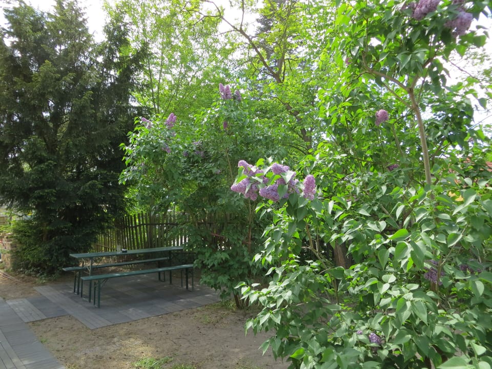 The front garden, a barbeque is incuded